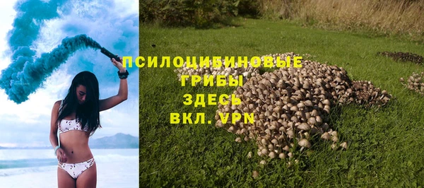 кристаллы Осинники
