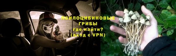 кристаллы Осинники