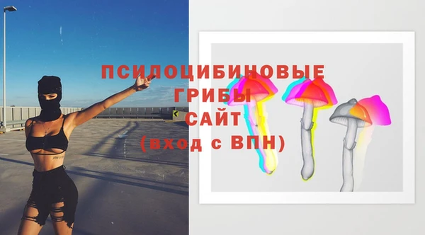 дмт Осташков