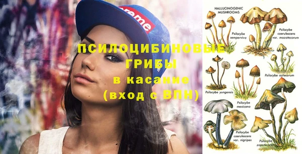 ешки Остров