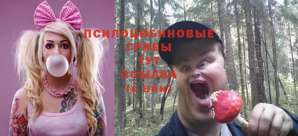 кристаллы Осинники