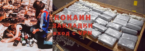 дмт Осташков