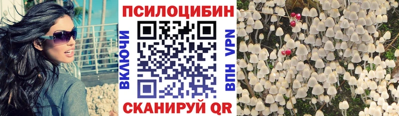 KRAKEN рабочий сайт  Курильск  Галлюциногенные грибы GOLDEN TEACHER  где найти наркотики 